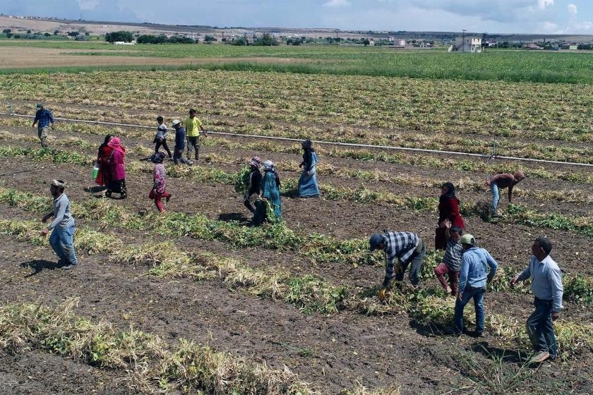 Tarım çalışmaları anlatıldı 