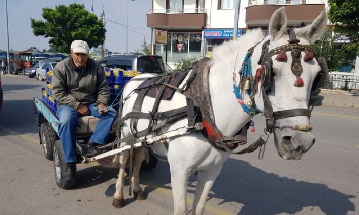  Böyle giderse At  Arabasına döneriz