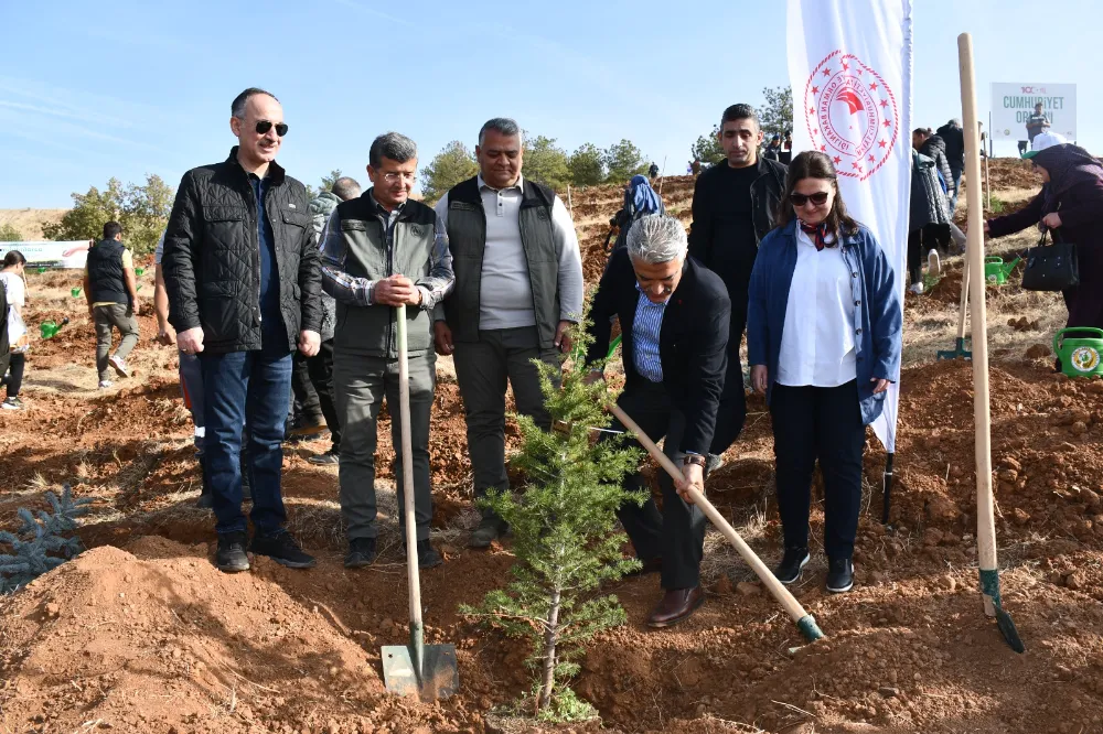 100. YIL CUMHURİYET ORMANI OLUŞTURULDU