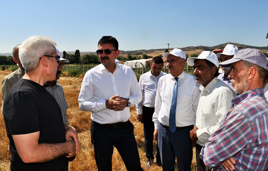 TEKBIYIKOĞLU HUBUBAT HASATINI BAŞLATTI