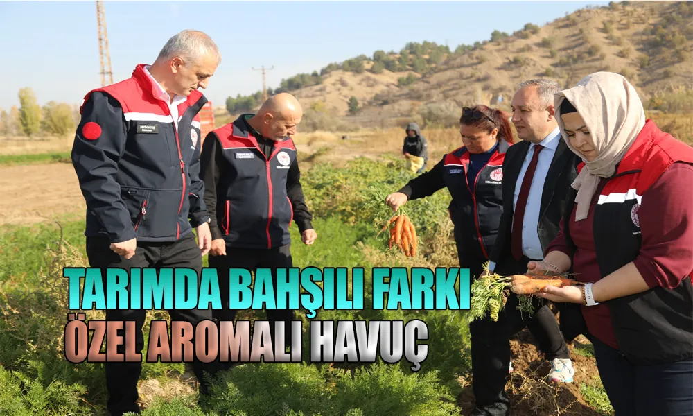 Bahşılı’da Havuç Hasadı Başladı