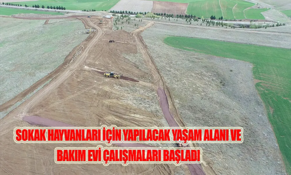 SAĞLIKLI BİR ORTAMDA YAŞAMALARI SAĞLANACAK