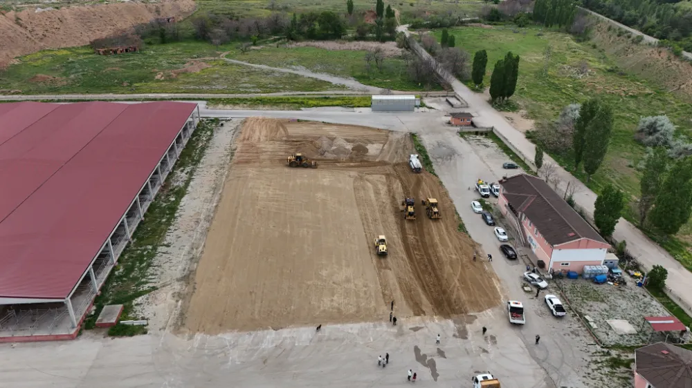 HAYVAN PAZARI YENİLENİYOR