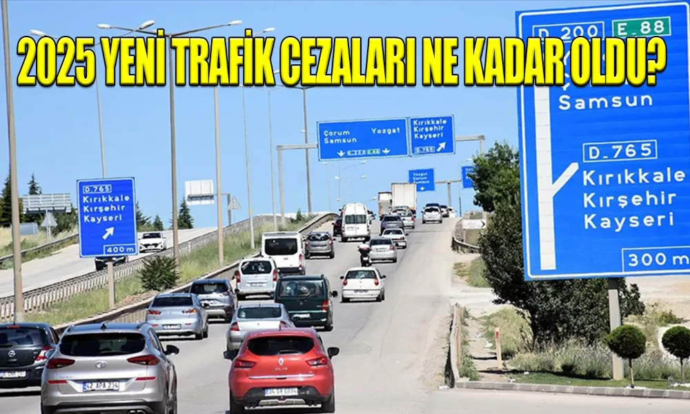DÜZENLEMELER KABUL EDİLDİ