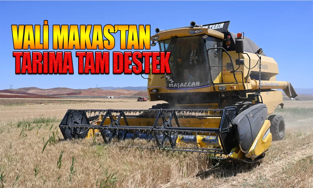 Çerikli’de Altın Başakların Zamanı