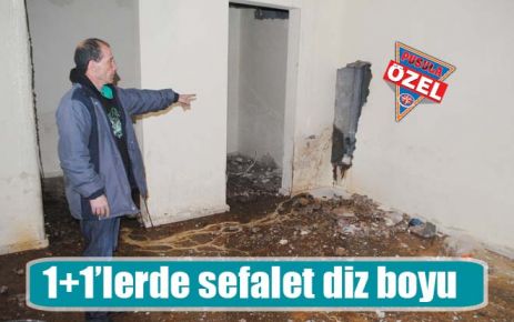 1+1?lerde sefalet diz boyu