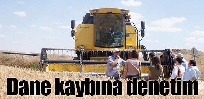 Buğday ve arpada dane kaybına denetim