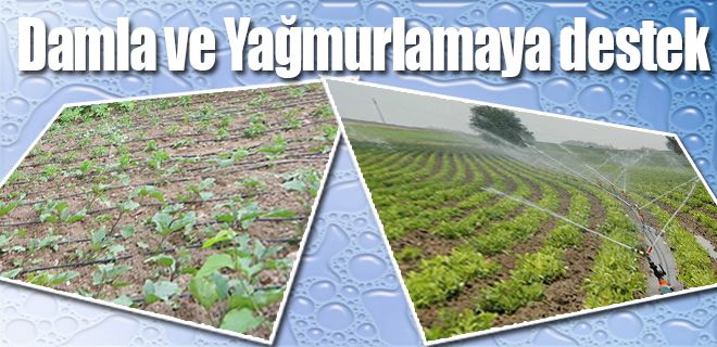 Tarlada damla ve yağmurlama sistemi