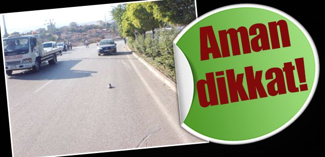 Sürücüler aman dikkat