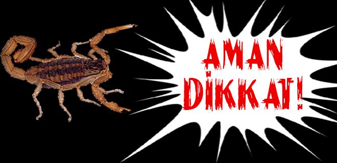 Dikkat Akrep var