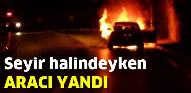 Otomobil alevlere aldı