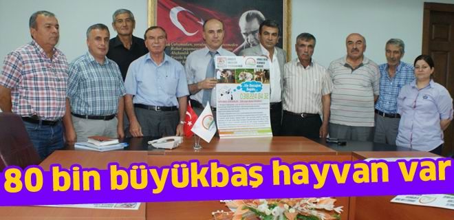 80 bin büyükbaş hayvan var