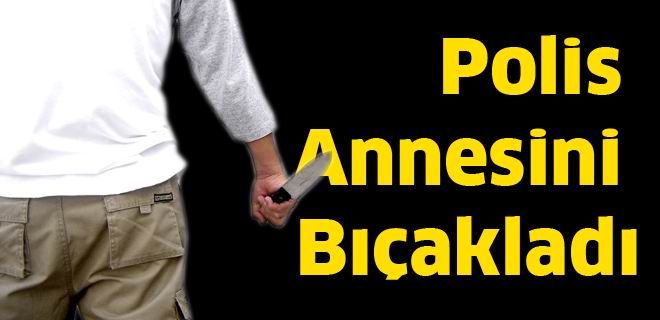 Polis annesini bıçakladı