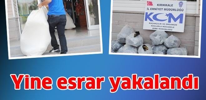 155 kilo esrar yakalandı