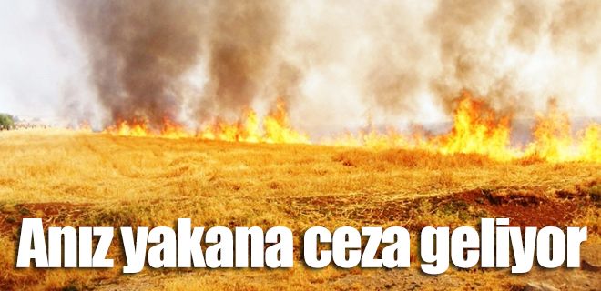 Anız yakana ceza