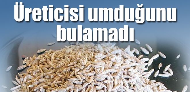 Kimyon üreticileri umduğunu bulamadı