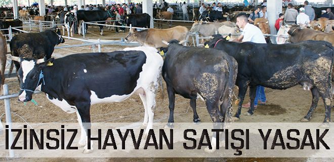 İzinsiz hayvan satışı yasak