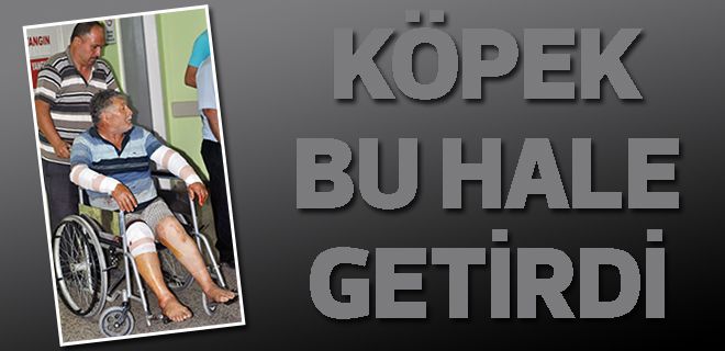 Köpek bu hale getirdi