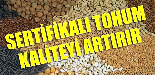Sertifikalı tohum kaliteyi artırır