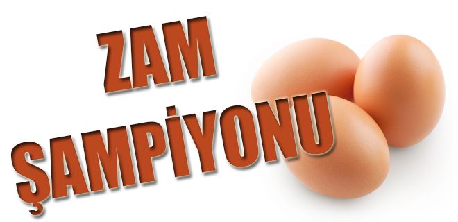 Zam şampiyonu yumurta