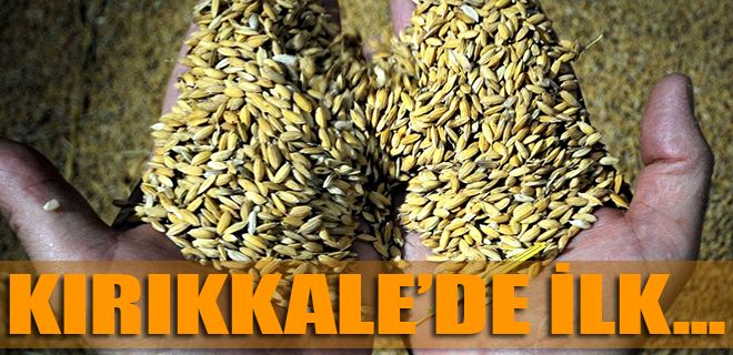 Kırıkkale