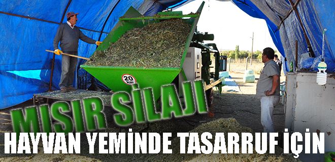 Hayvan yeminde tasarruf için: SİLAJ