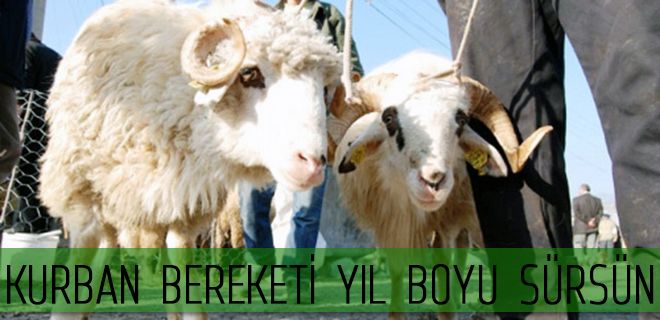 Kurban bereketi yıl boyu sürsün