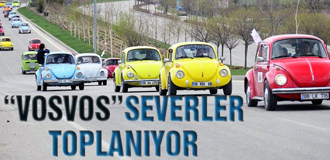Vosvosseverler toplanıyor