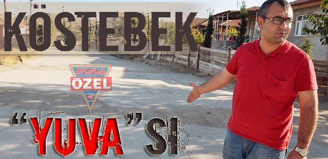 Köstebek YUVA