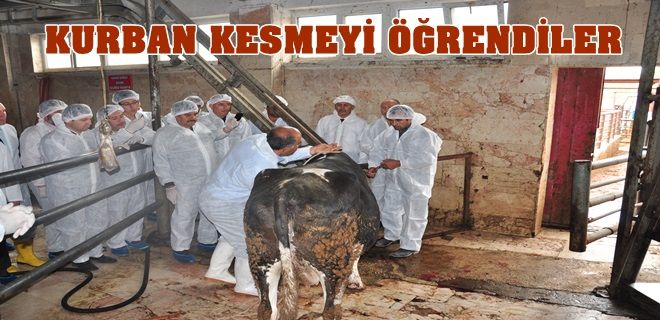 23 kursiyer kurban kesmeyi öğrendi