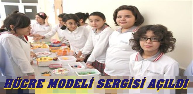 Hücre modeli sergisi açıldı