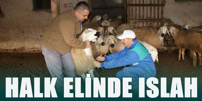 Halk elinde ıslah projesi