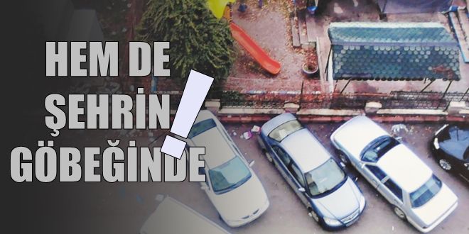 Şehrin göbeğinde çöplük