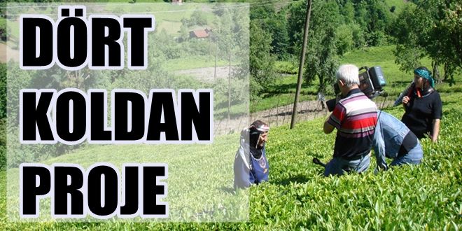 4 koldan proje