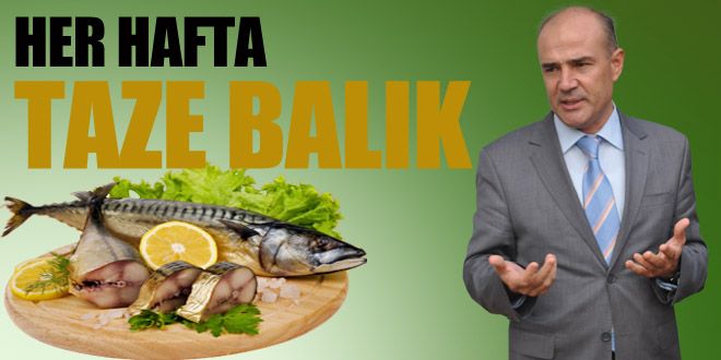 Her hafta taze balık tüketin