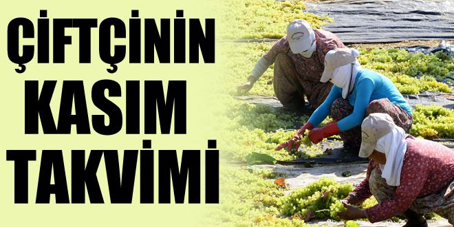 Çiftçinin Kasım ayı takvimi
