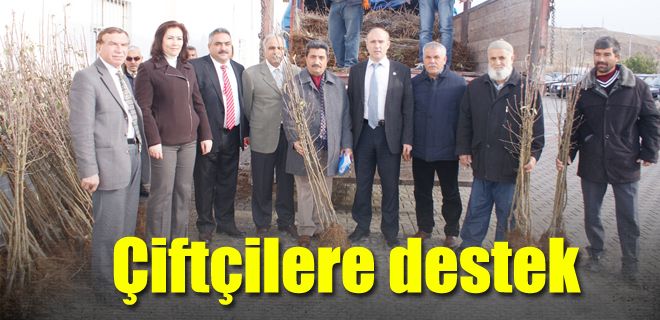 Çiftçilere elma desteği 