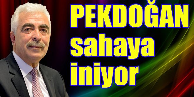 Pekdoğan Sahaya İniyor