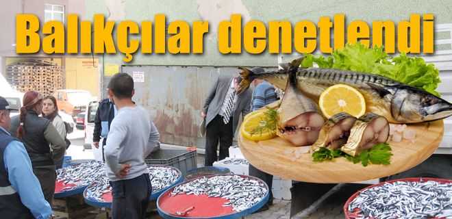  Balıkçılar denetlendi