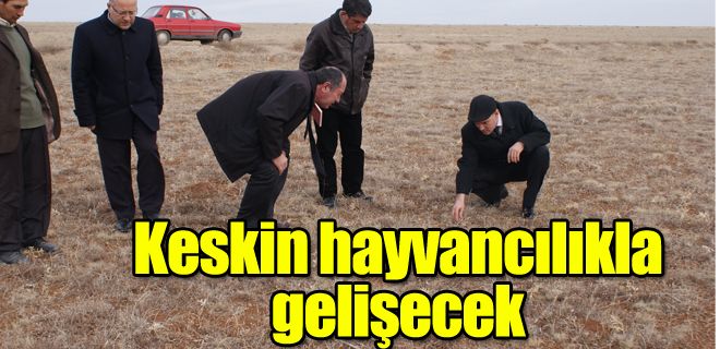 Keskin hayvancılıkla gelişecek 