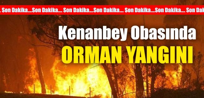 Kenanbey obasında orman yangını