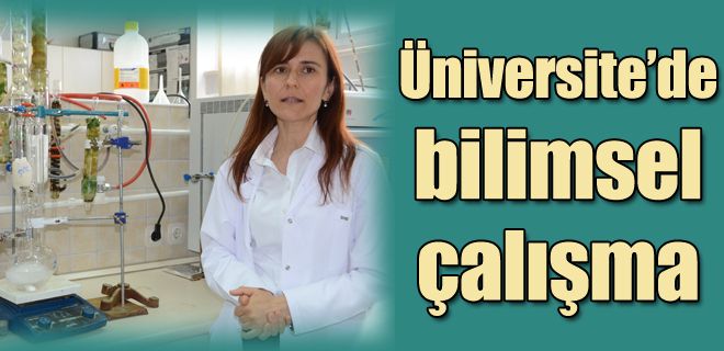 Üniversite