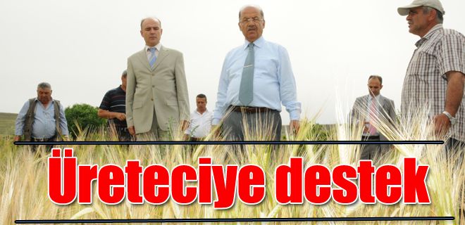 Baklagil üreticisine destek