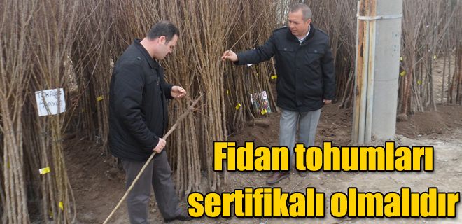 Fidan tohumları sertifikalı olmalıdır 