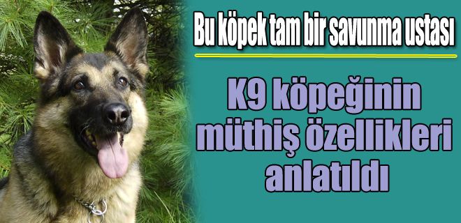 K9 köpeğinin müthiş özellikleri anlatıldı 