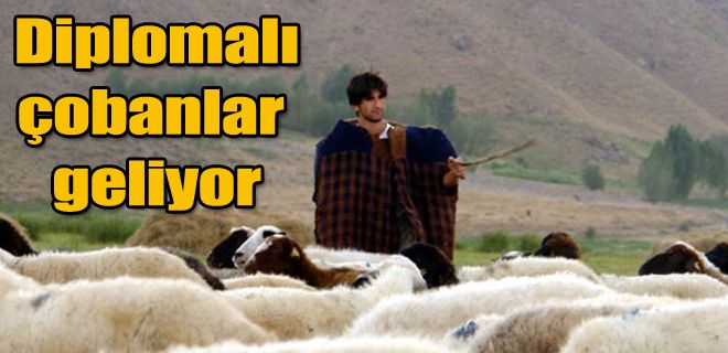 Diplomalı çobanlar geliyor 