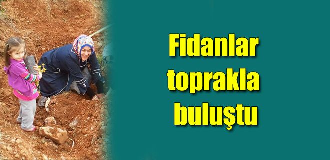 Kadınlar hatıra ormanı oluşturdu