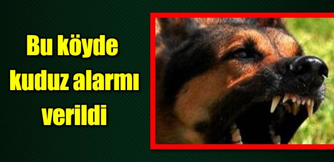 Kocabaş köyünde kuduz alarmı 