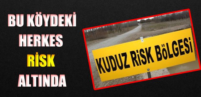 Hisarköy kuduz kanatinasında