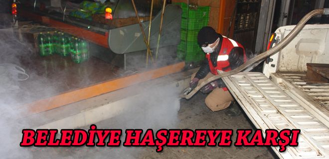 Belediye haşereye karşı 